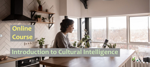 Introduction to Cultural Intelligence - An Online Course
