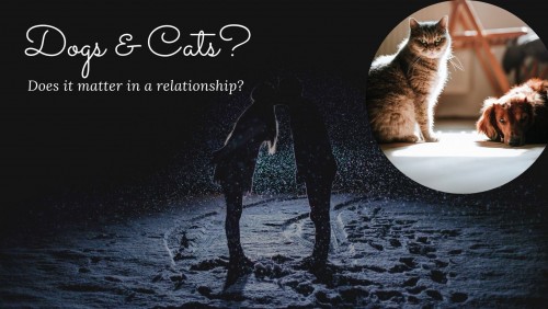 POLL: Do you have a preference for dogs or cats? And is your date's preference important?